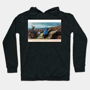 Bizarre Victorian Christmas Racing Insects Greeting Hoodie